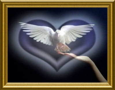 Petite Douce Colombe ...